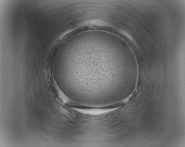 X0000068851112200605121402