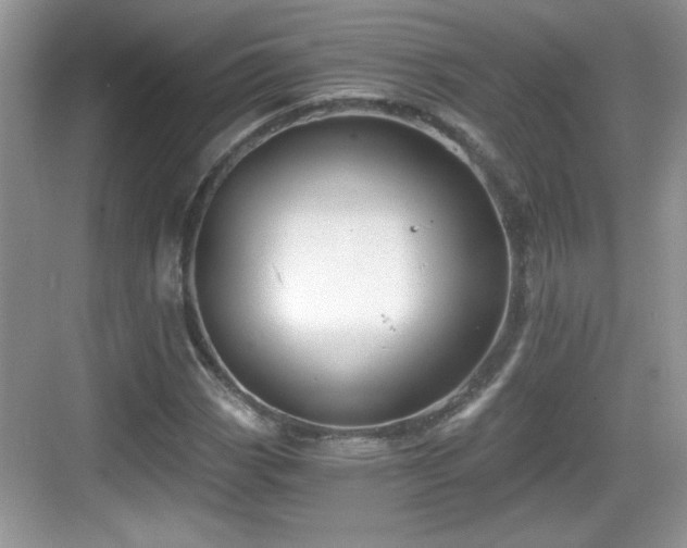 X0000068851113200605121402