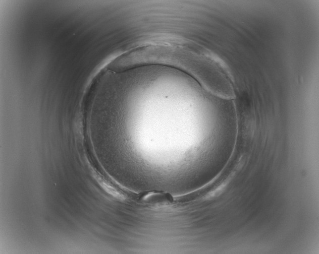 X0000068851114200605121402