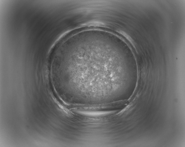 X0000068851115200605121402