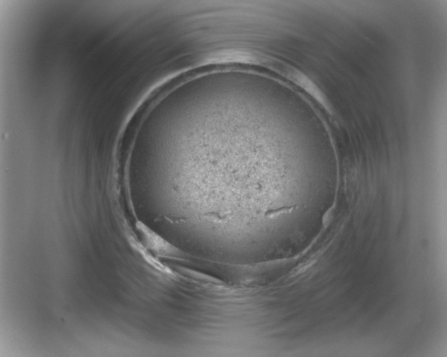 X0000068851116200605121402