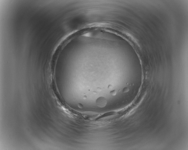 X0000068851117200605121402