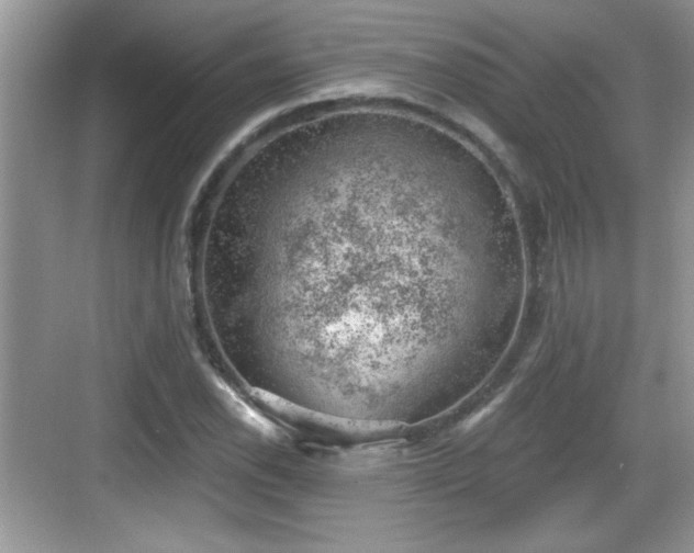 X0000068851118200605121402