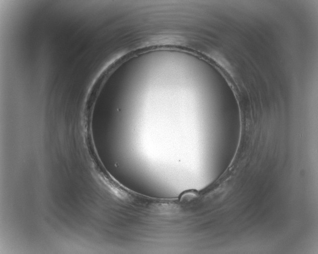 X0000068851119200605121402