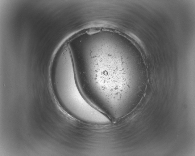 X0000068851120200605121402