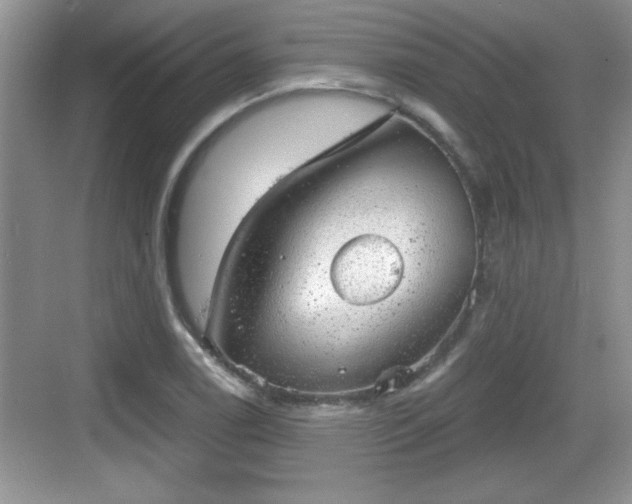 X0000068851122200605121402