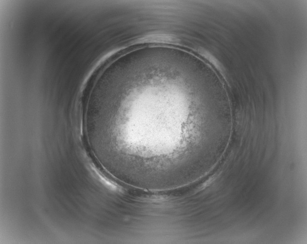 X0000068851123200605121402