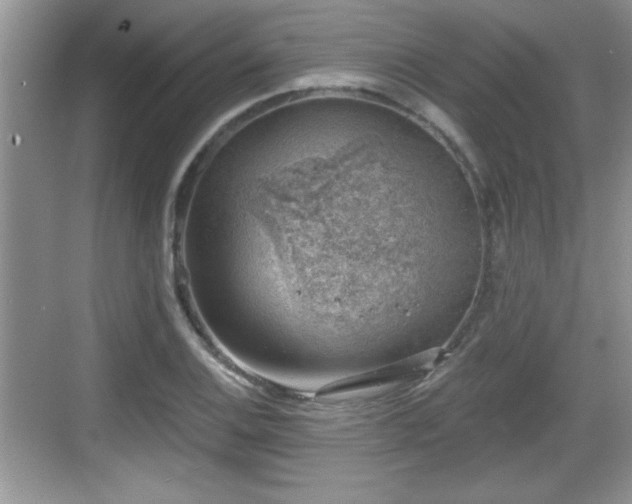 X0000068851124200605121402