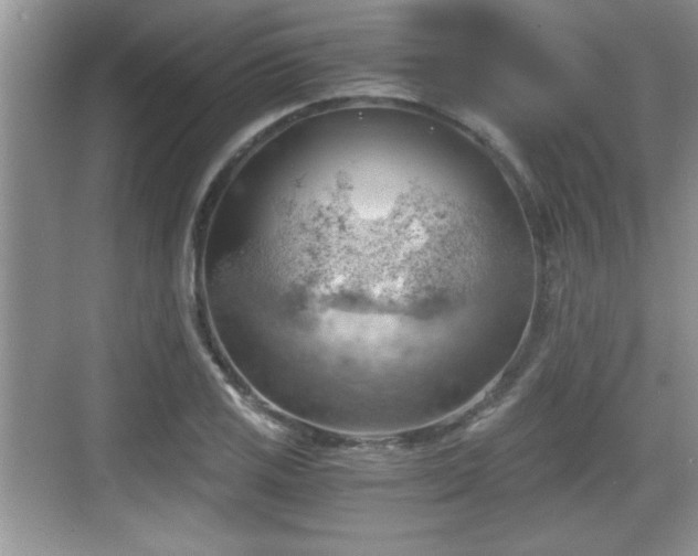 X0000068851125200605121402