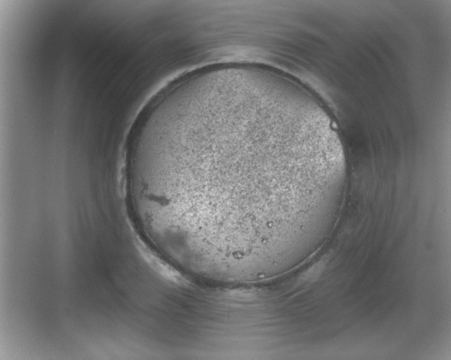 X0000068851126200605121402