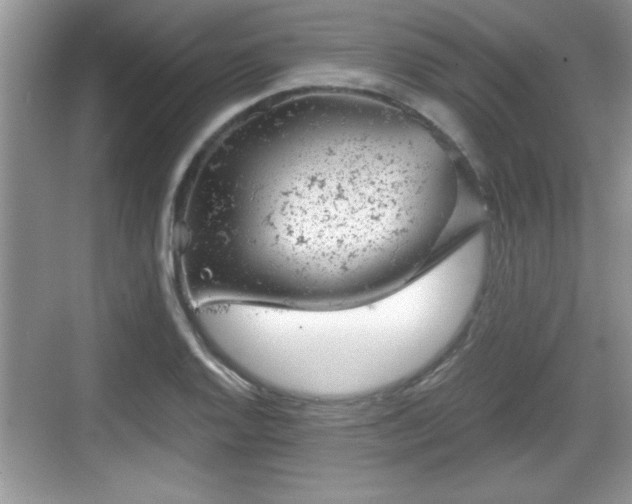 X0000068851128200605121402