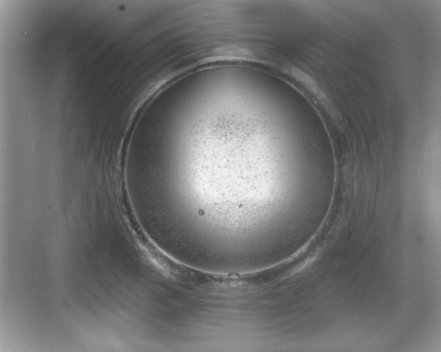 X0000068851129200605121402