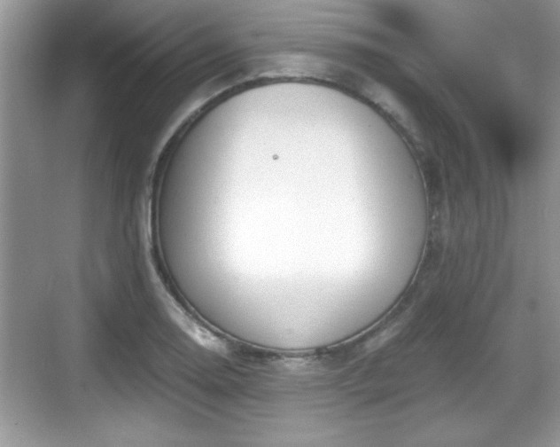 X0000068851130200605121402