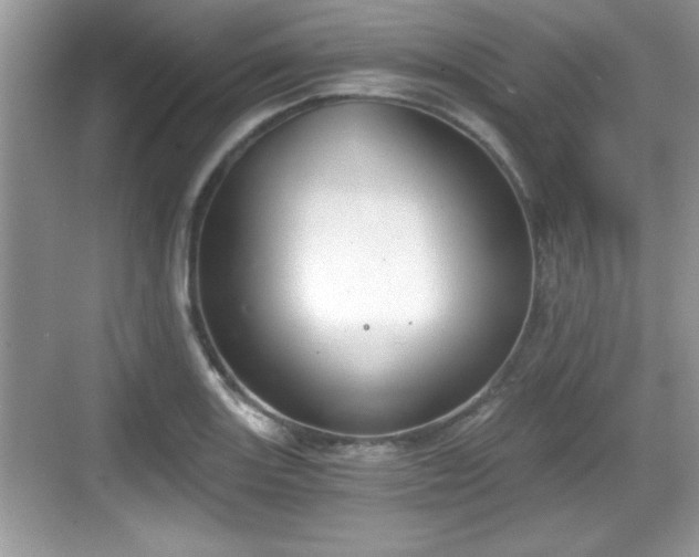 X0000068851131200605121402