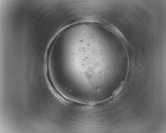 X0000068851132200605121402