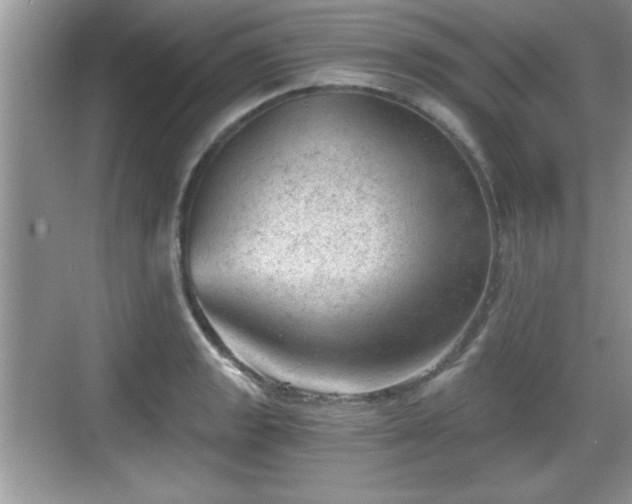 X0000068851133200605121402