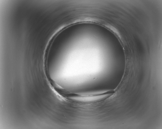 X0000068851135200605121402