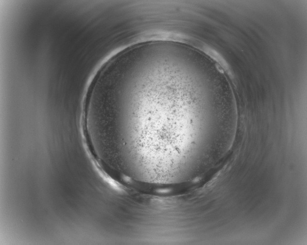 X0000068851136200605121402