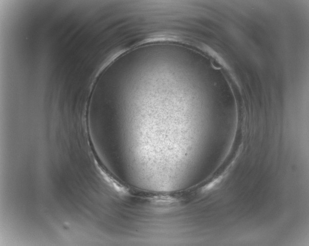 X0000068851137200605121402