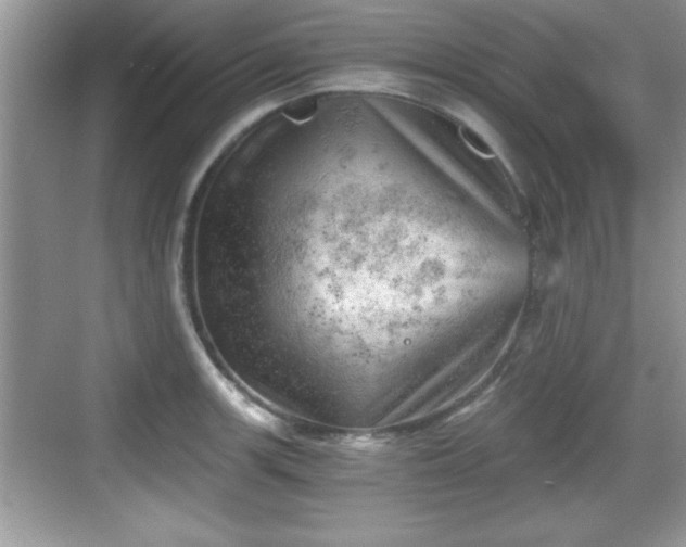 X0000068851139200605121402