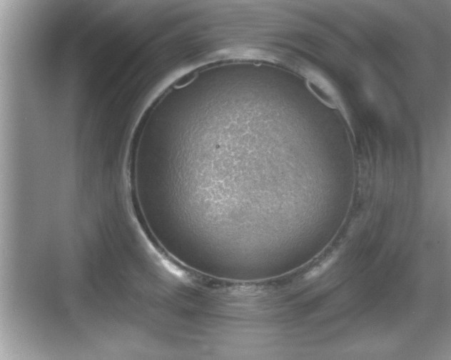 X0000068851141200605121402