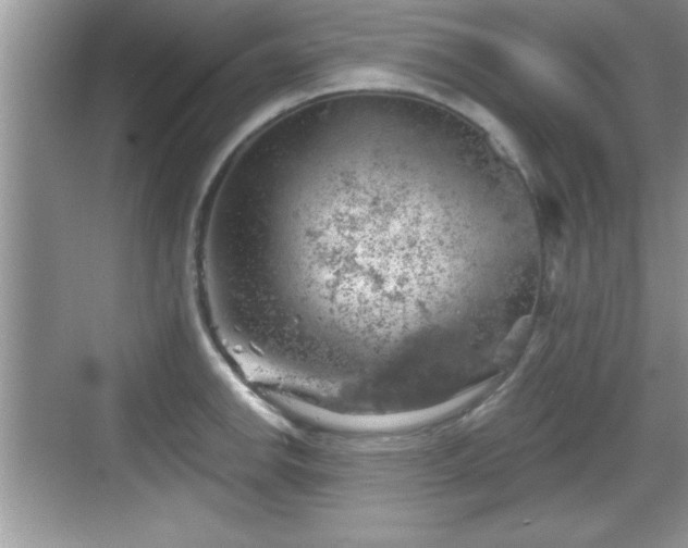 X0000068851142200605121402