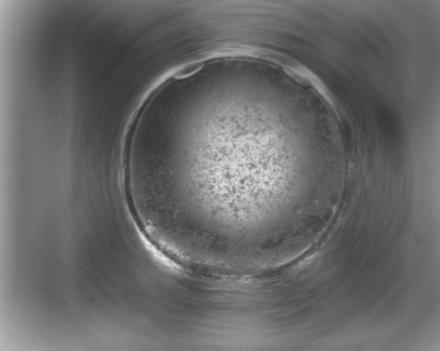 X0000068851143200605121402