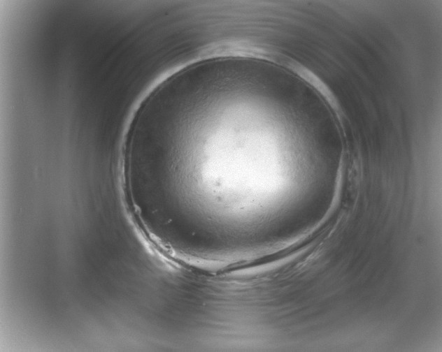 X0000068851144200605121402