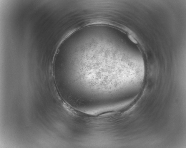 X0000068851145200605121402