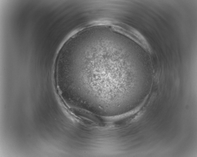 X0000068851146200605121402