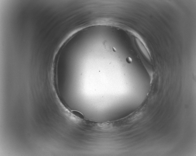 X0000068851147200605121402