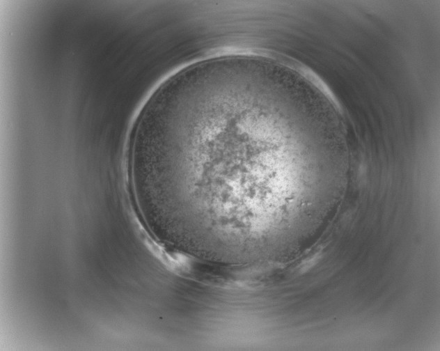 X0000068851148200605121403