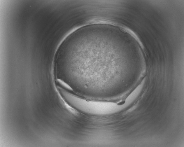 X0000068851149200605121403