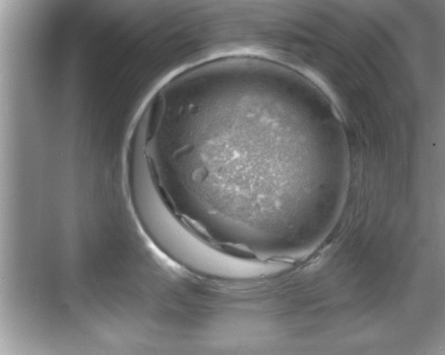 X0000068851151200605121403