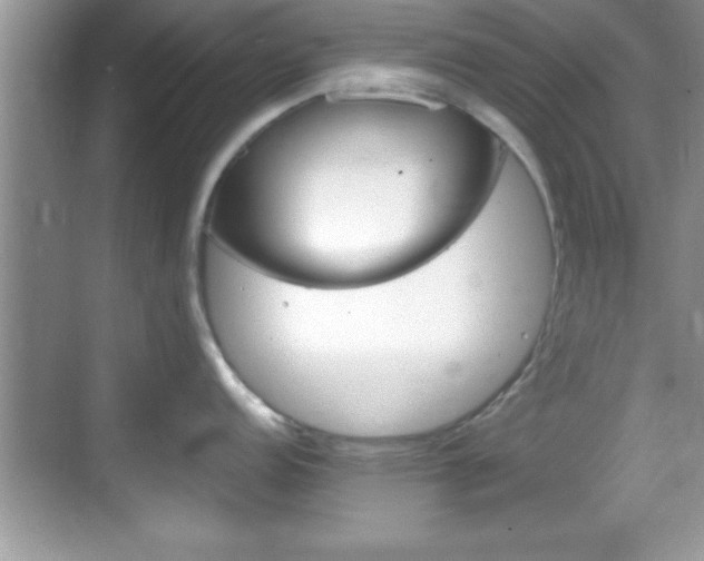 X0000068851152200605121403