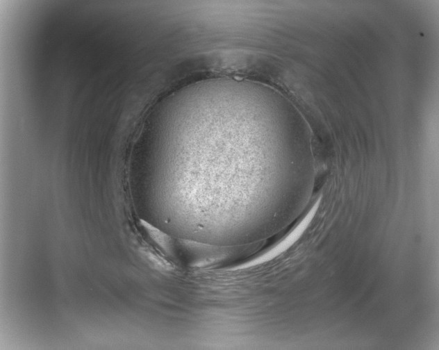 X0000068851153200605121402