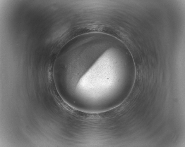 X0000068851154200605121402