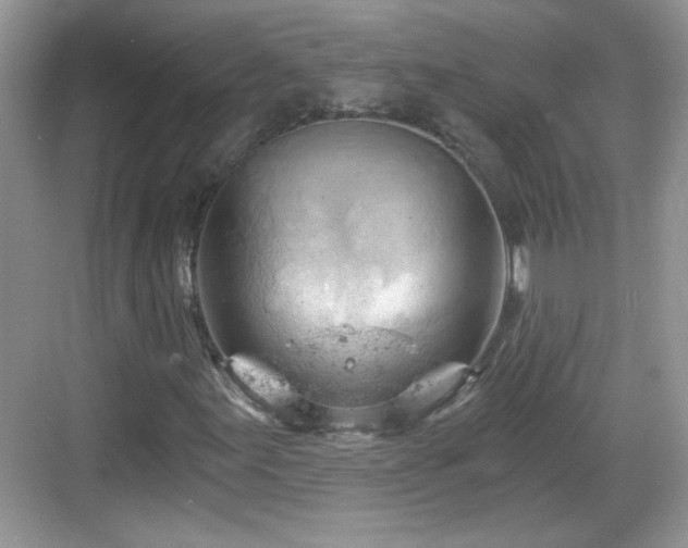 X0000068851155200605121402