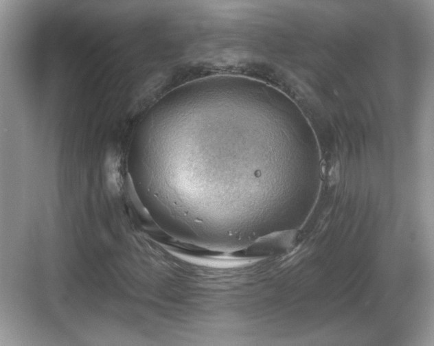 X0000068851156200605121402