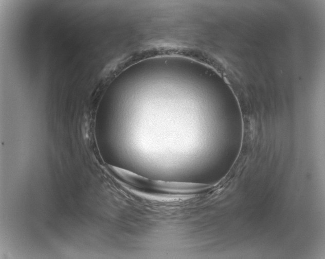 X0000068851157200605121402