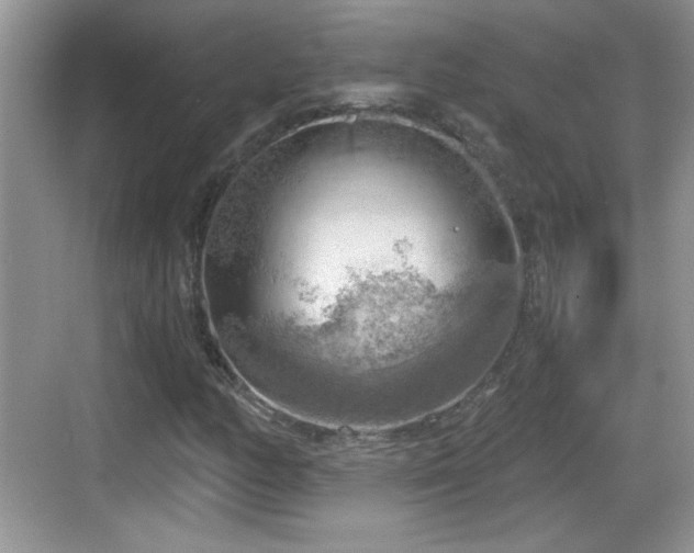 X0000068851158200605121402