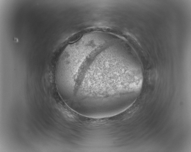 X0000068851159200605121402