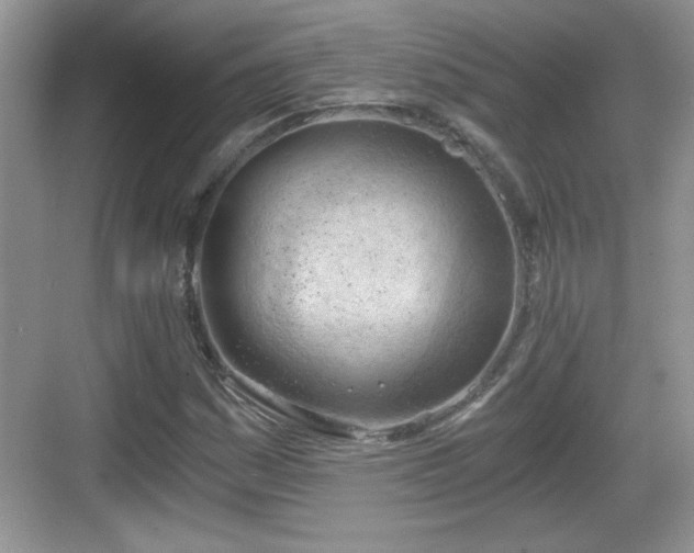 X0000068851161200605121402