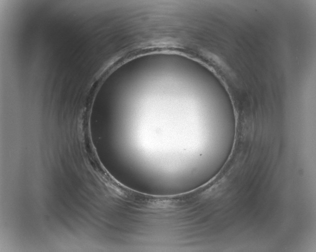 X0000068851162200605121402