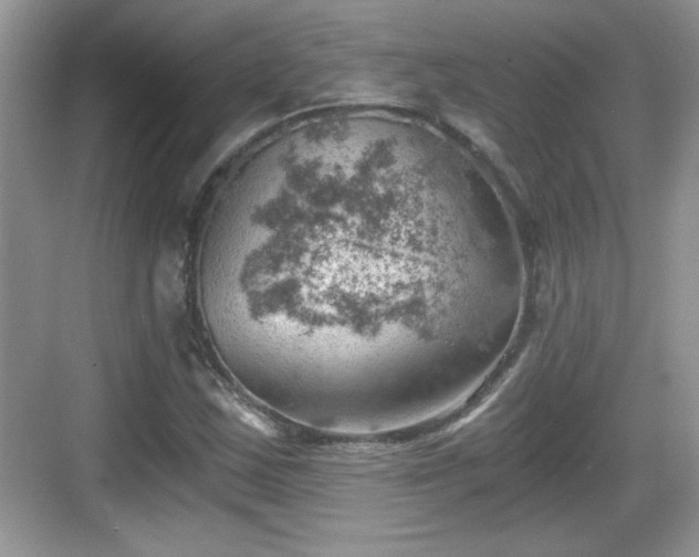 X0000068851163200605121402