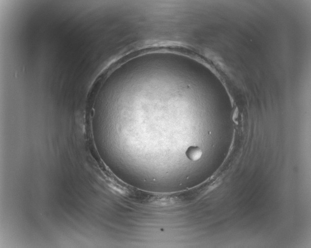 X0000068851165200605121402