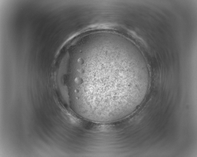 X0000068851166200605121402