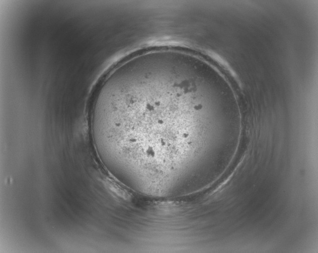 X0000068851167200605121402