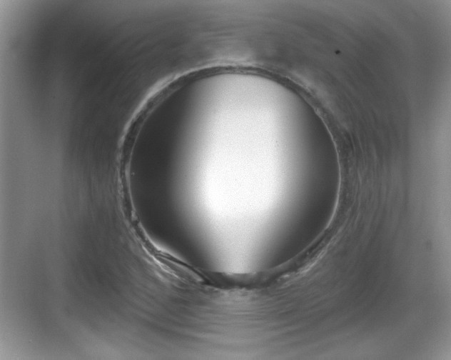 X0000068851168200605121402