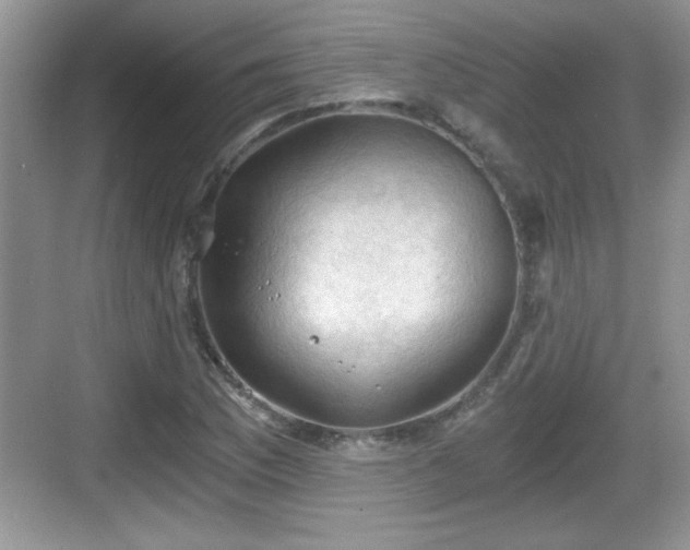 X0000068851169200605121401